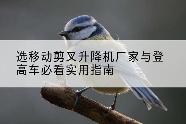 淮阴电动升降机厂家-选移动剪叉升降机厂家与登高车必看实用指南
