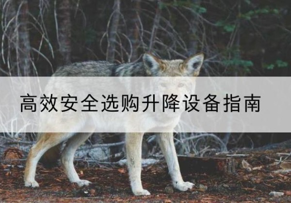淮阴升降货梯厂家推荐-*安全选购升降设备指南