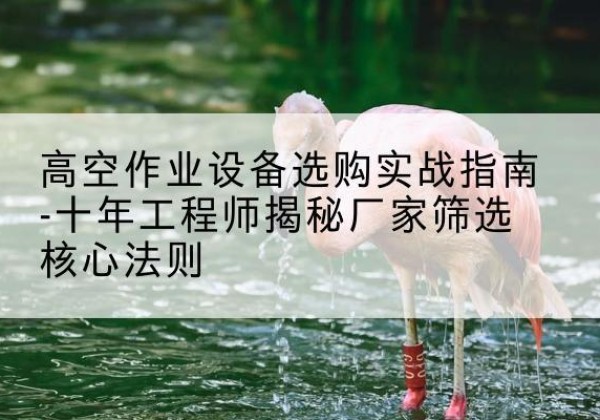 淮阴剪叉式升降机厂家-高空作业设备选购实战指南-十年工程师揭秘厂家筛选核心法则